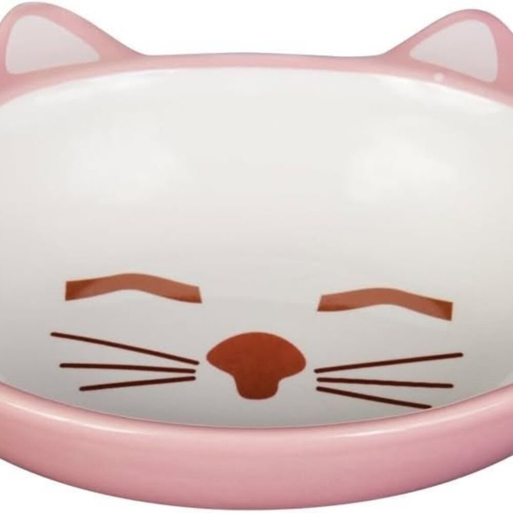PetRageous Oval Frisky Kitty Stoneware Cat Bowl